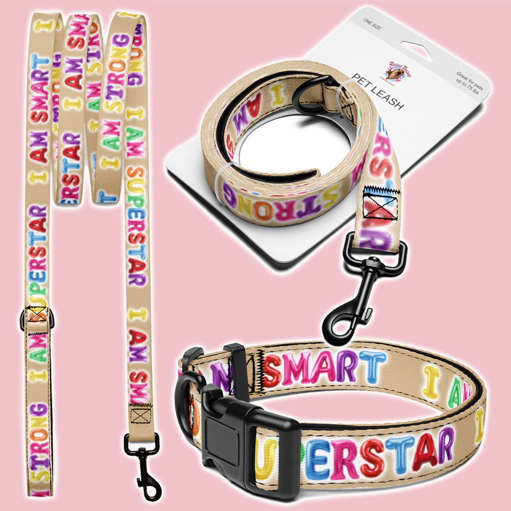 positivity leash & collar